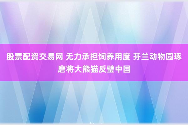 股票配资交易网 无力承担饲养用度 芬兰动物园琢磨将大熊猫反璧中国