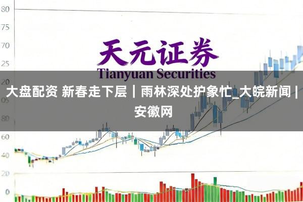 大盘配资 新春走下层｜雨林深处护象忙_大皖新闻 | 安徽网