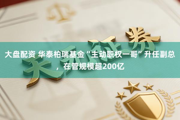 大盘配资 华泰柏瑞基金“主动职权一哥”升任副总，在管规模超200亿